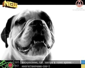Fall out Boy - The Take Over the Breaks Over